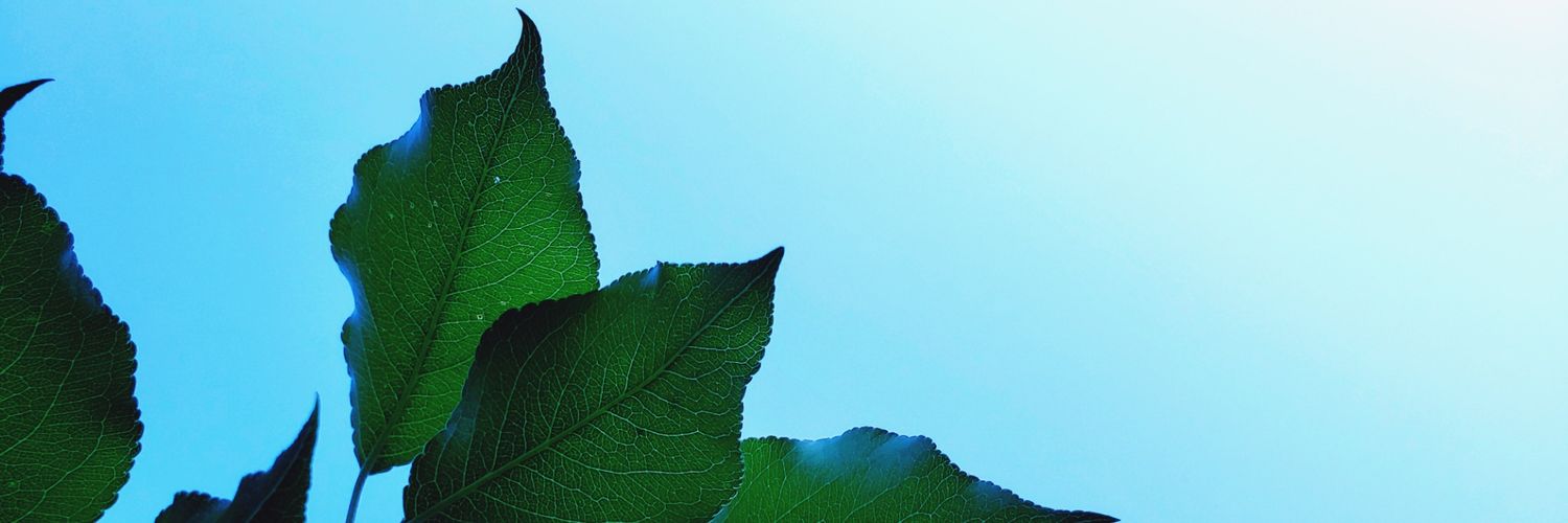 Withlove__L's profile banner image