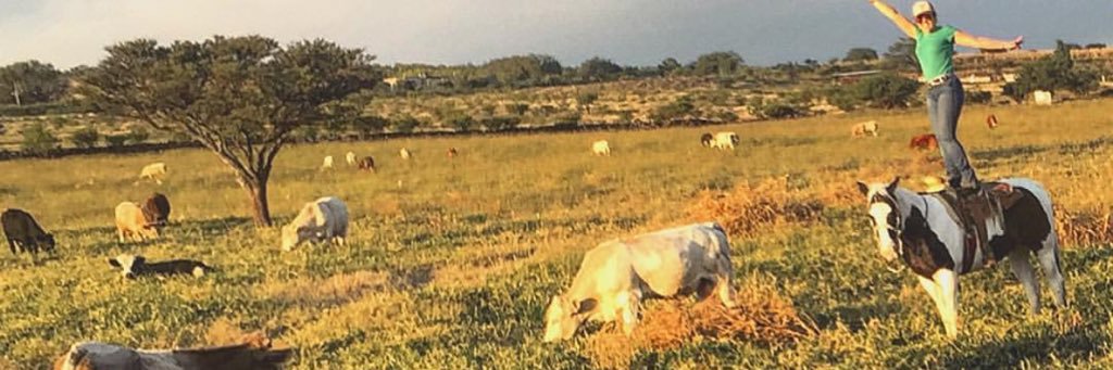 marisholsanchez's profile banner image