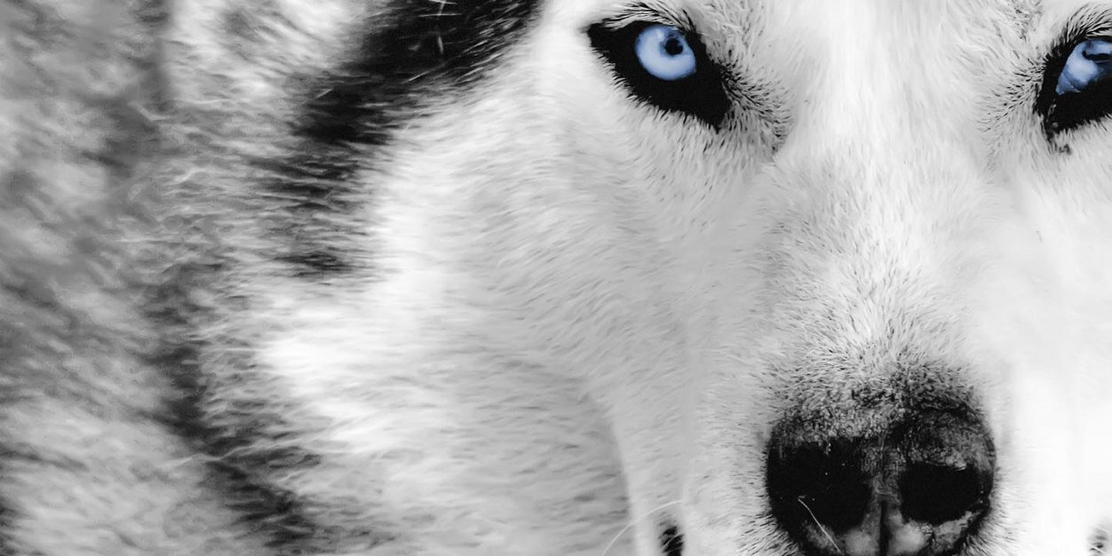 click_here_ASAP's profile banner image