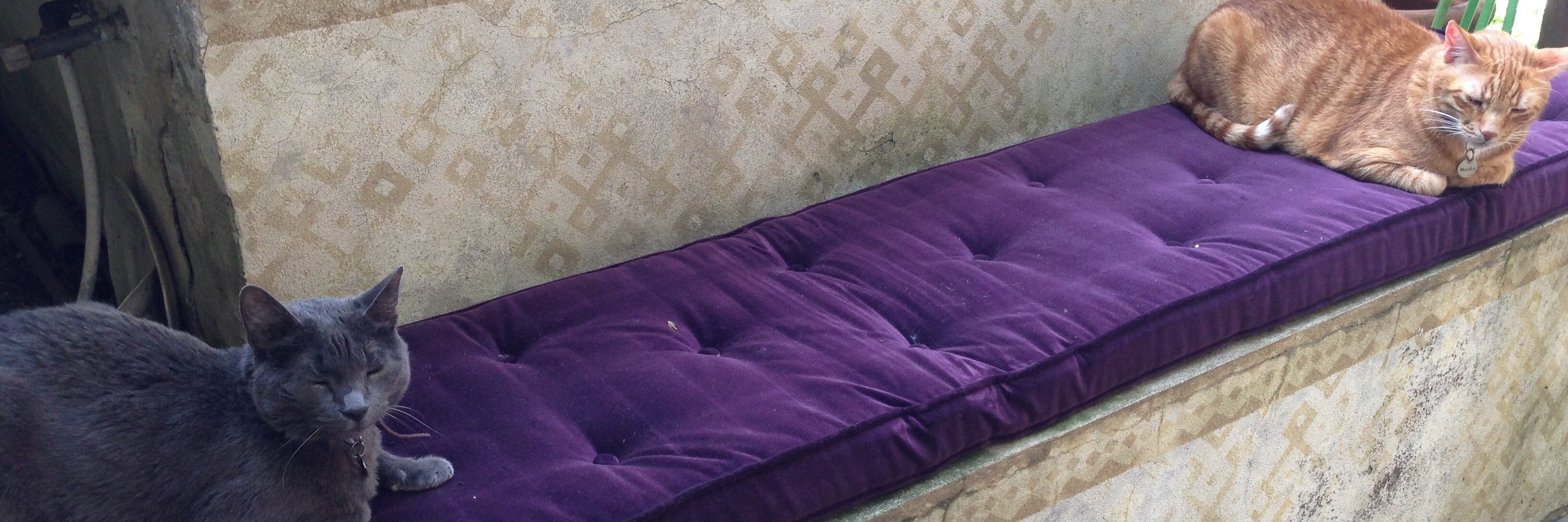 claudio ceroni banner