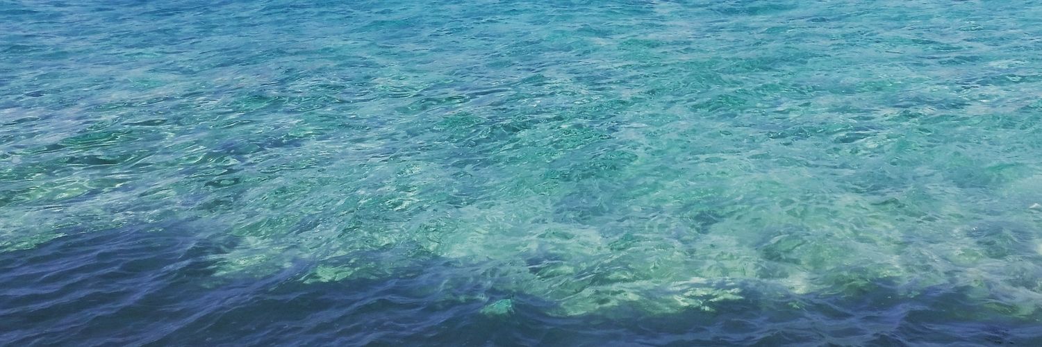 RoxanneRoks's profile banner image