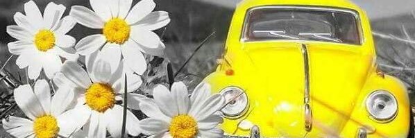 sda_9772's profile banner image