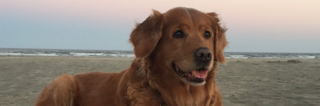 Emily_Ozborne's profile banner image