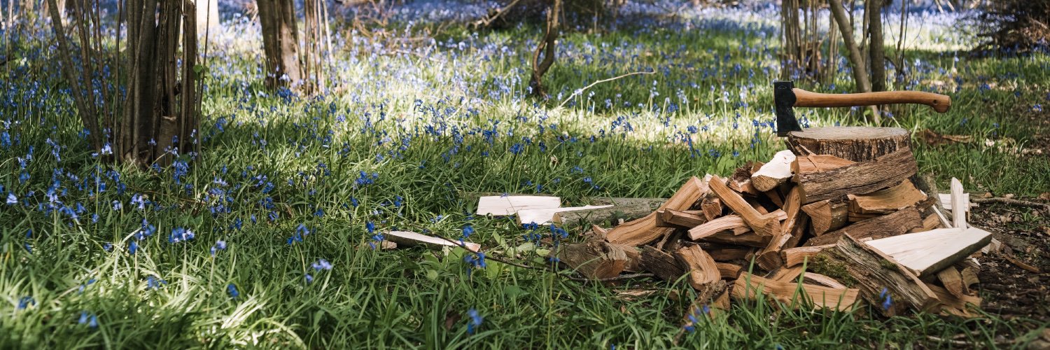 Misc. Adventures banner