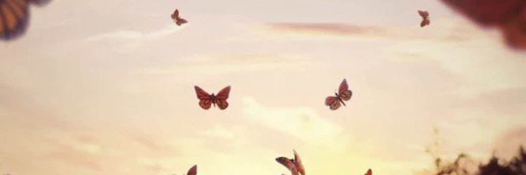 eman_sk's profile banner image