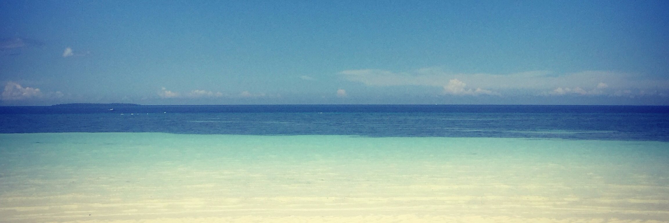seanied87's profile banner image