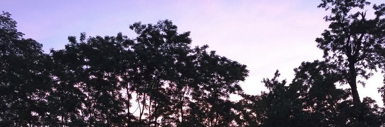 Sydd_vaughn's profile banner image