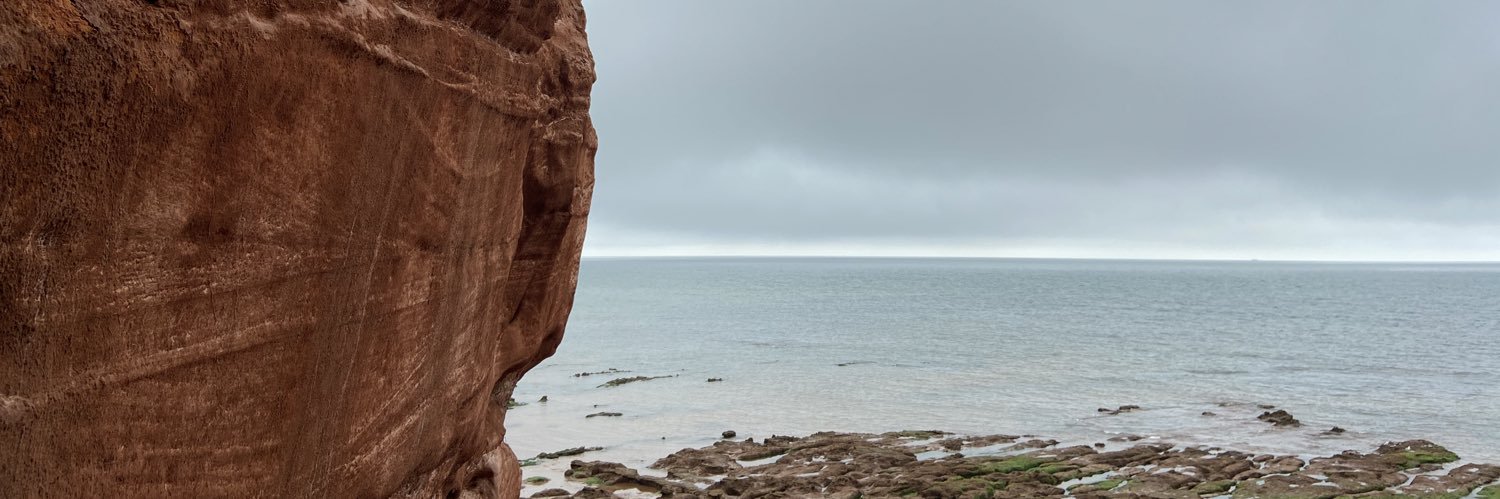 sumfinks's profile banner image