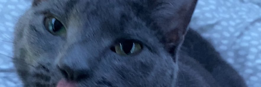 _JayMV's profile banner image