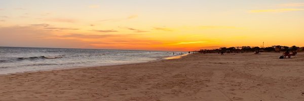 El_RangerVerde Profile Banner