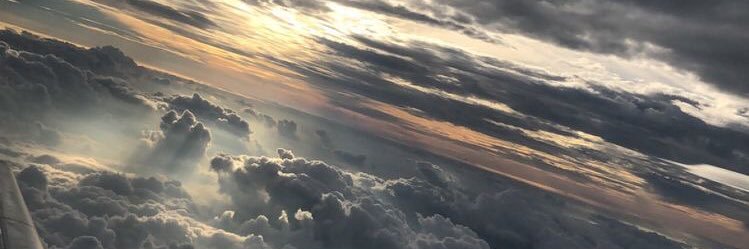 oscar_schell's profile banner image