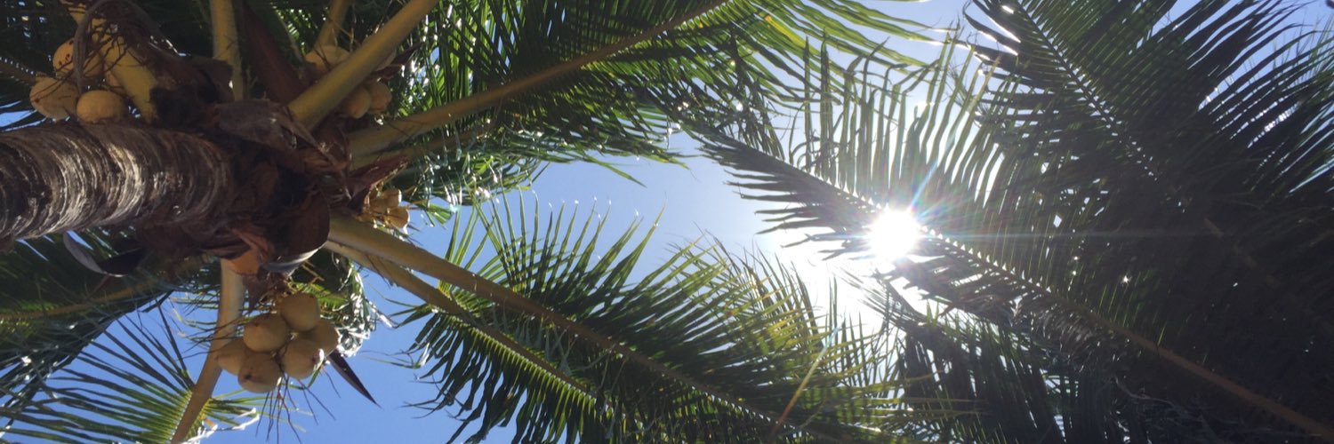 sandywhaley's profile banner image