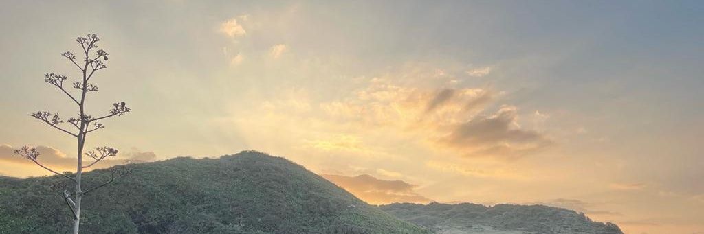 ddenissecg's profile banner image