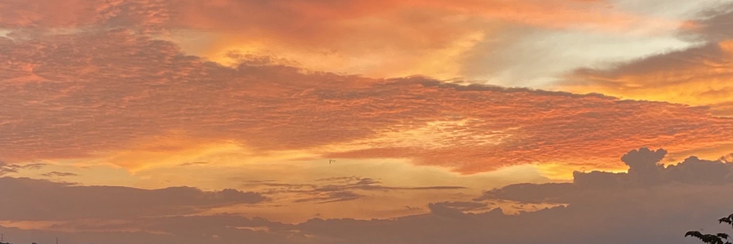 Joseg2206's profile banner image