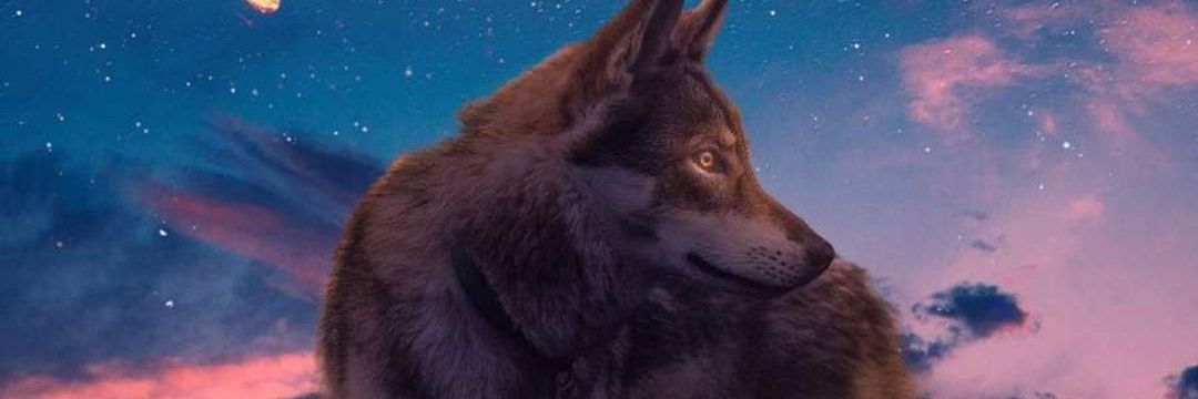 BrancoESafado's profile banner image