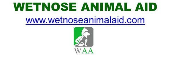 WetnoseDay Profile Banner