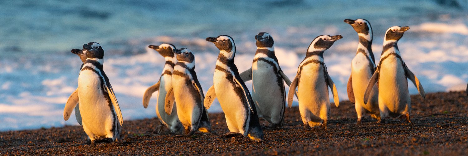 Wildlife Conservation Network banner