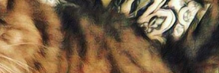 Debra Sullivan banner