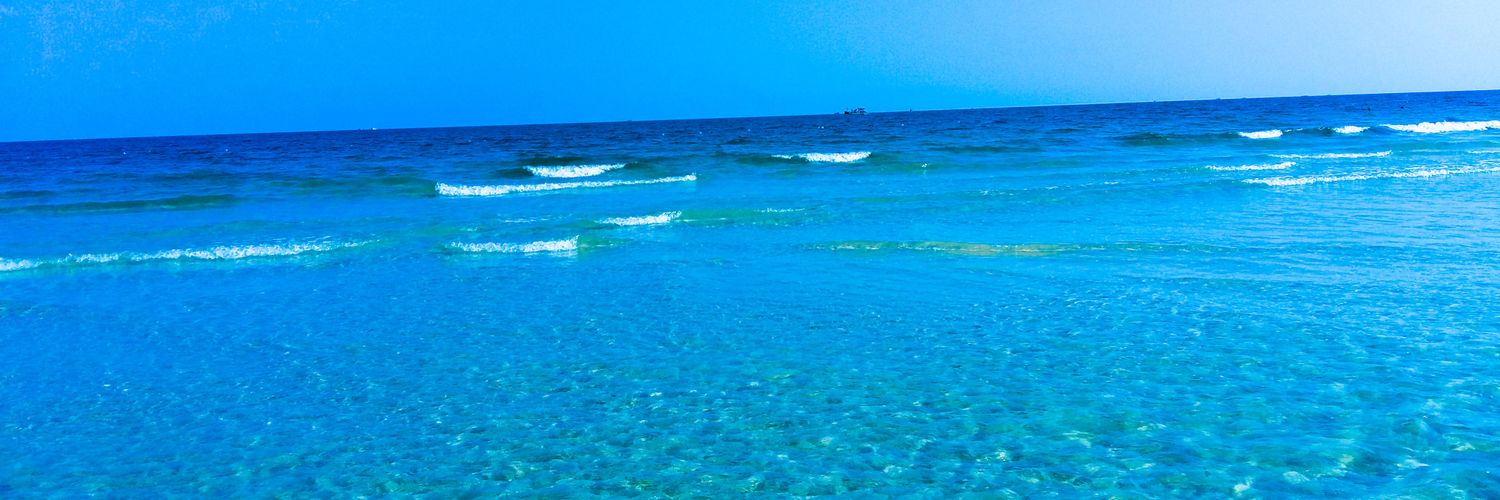 Christina Kumenius-Liljerot banner