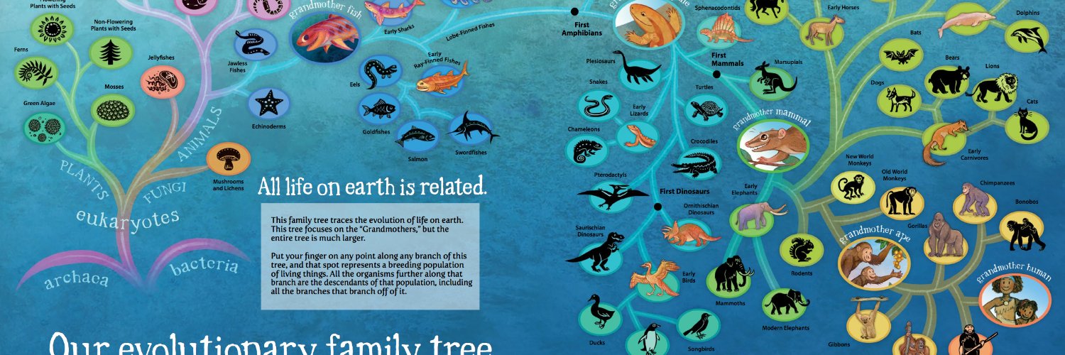 Jonathan "Grandmother Fish" Tweet banner