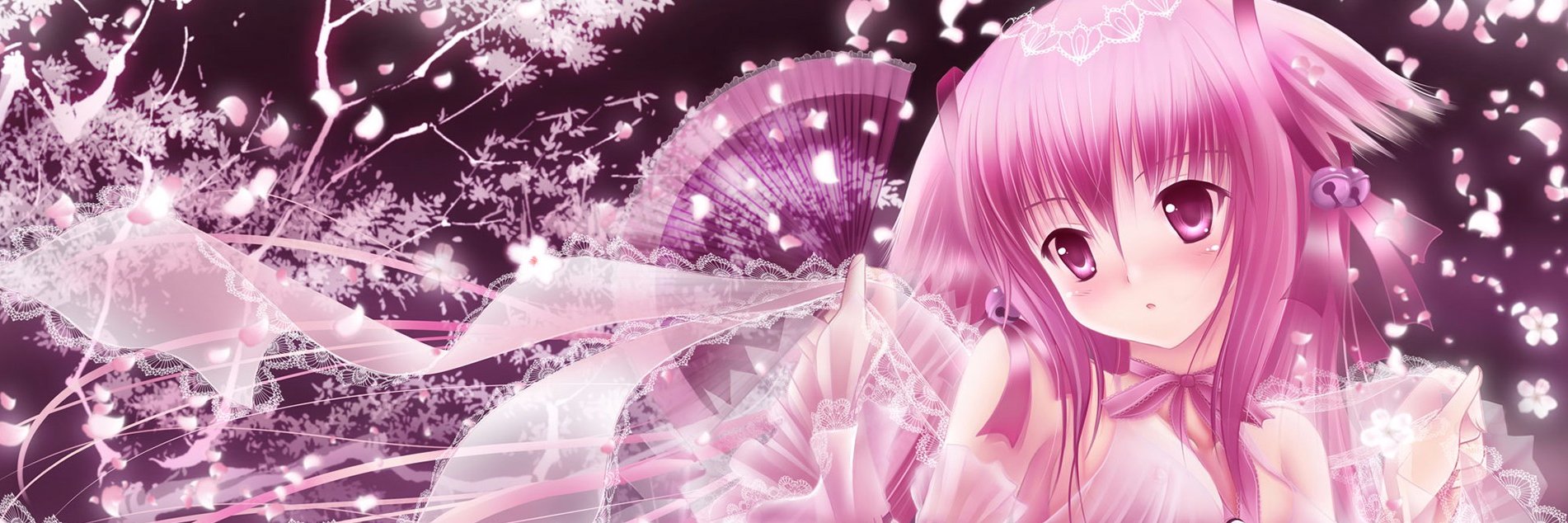 Ascari banner