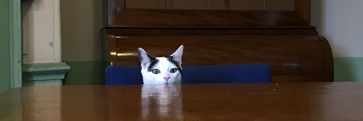 HannahEmmaDavis's profile banner image