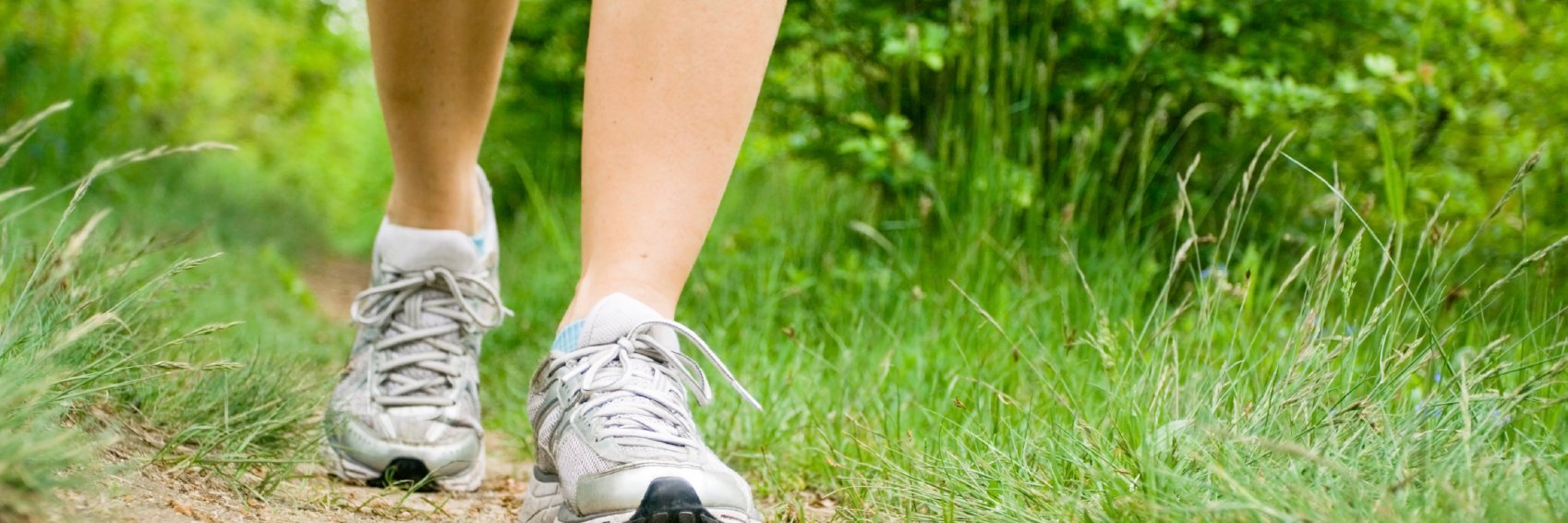 CanOrthoFoundation banner