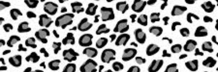 libbyleopard's profile banner image