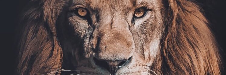 TepeEfe's profile banner image