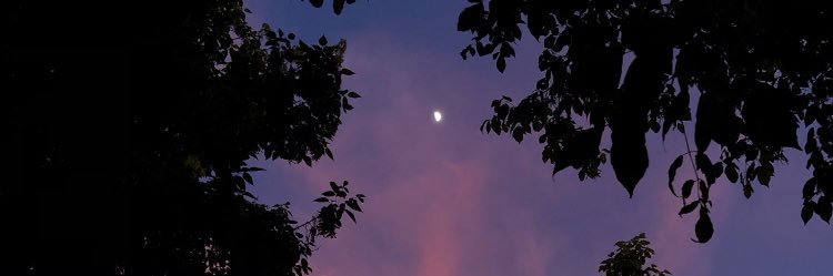 marrtassanchez's profile banner image