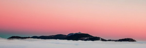 JuliaMartinFR Profile Banner