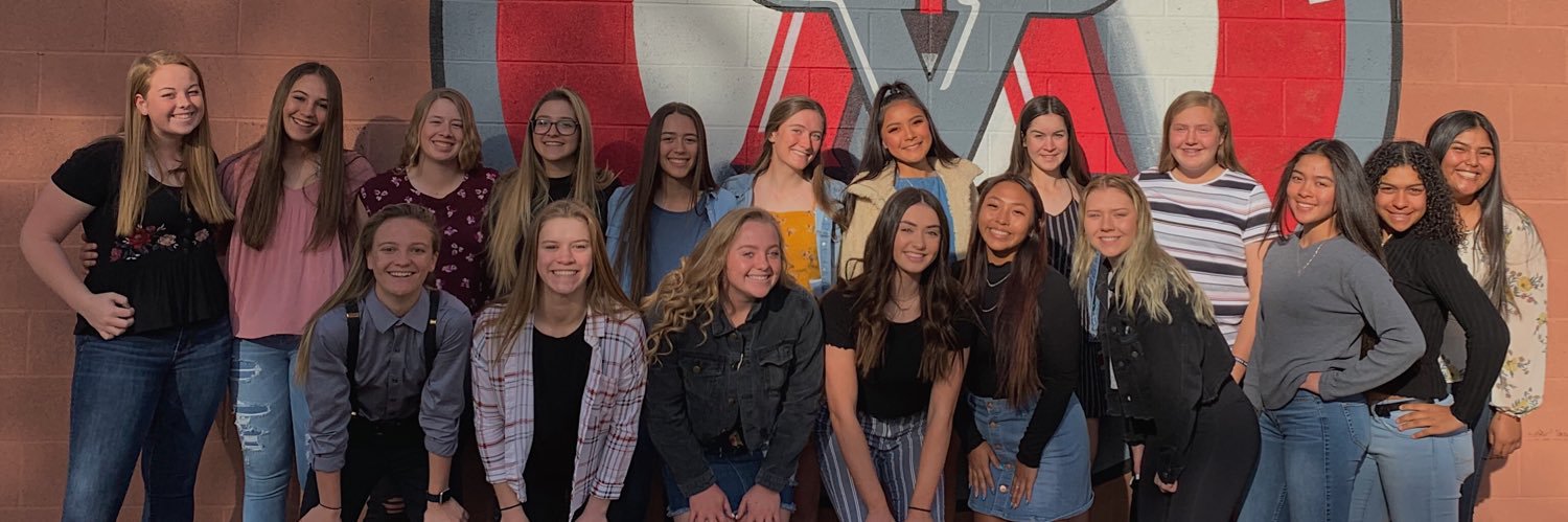 Arbor View Softball banner