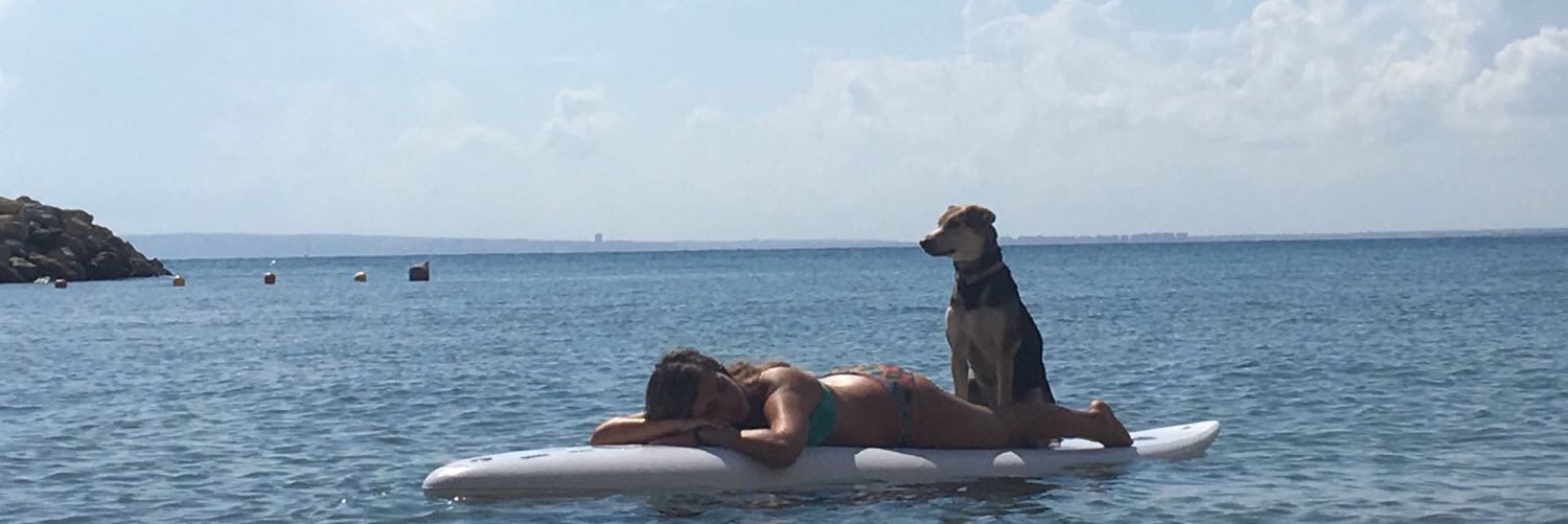 mayaheilker's profile banner image