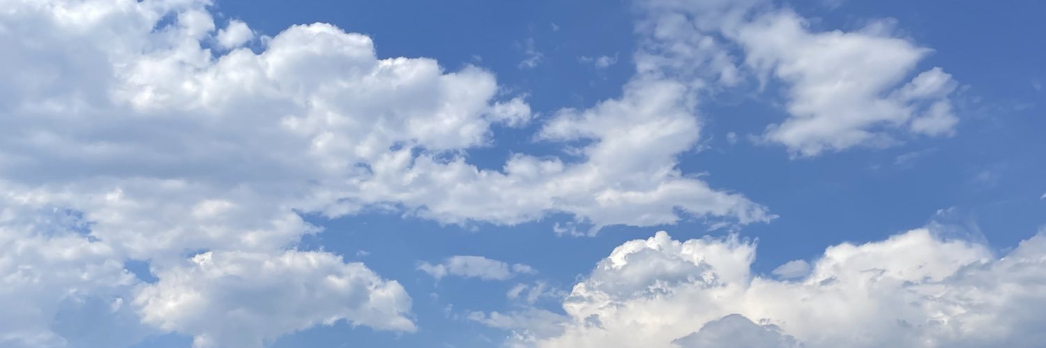 mandychenn's profile banner image