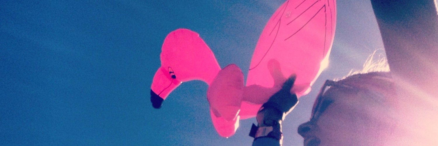 mandacinderella's profile banner image