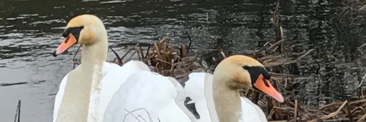 AudreyAmo's profile banner image