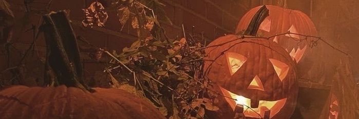b3rmar's profile banner image