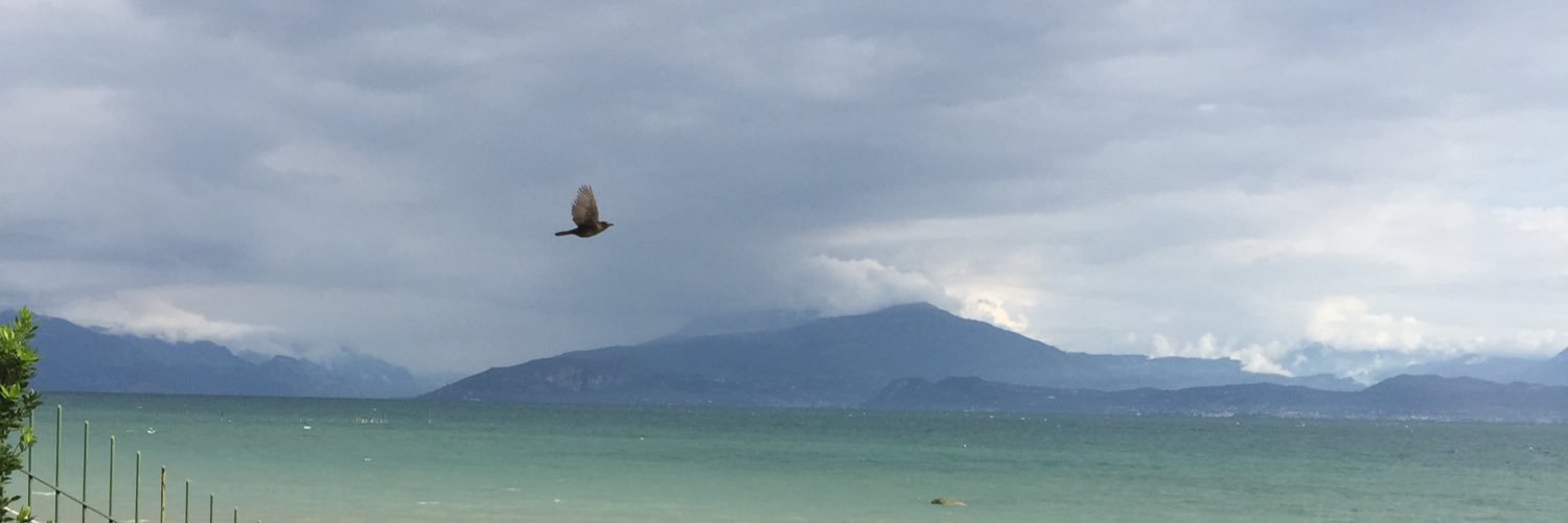 almoana's profile banner image