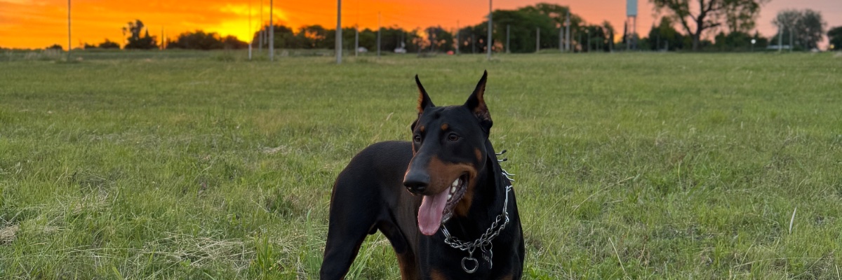 micugonzalez21's profile banner image