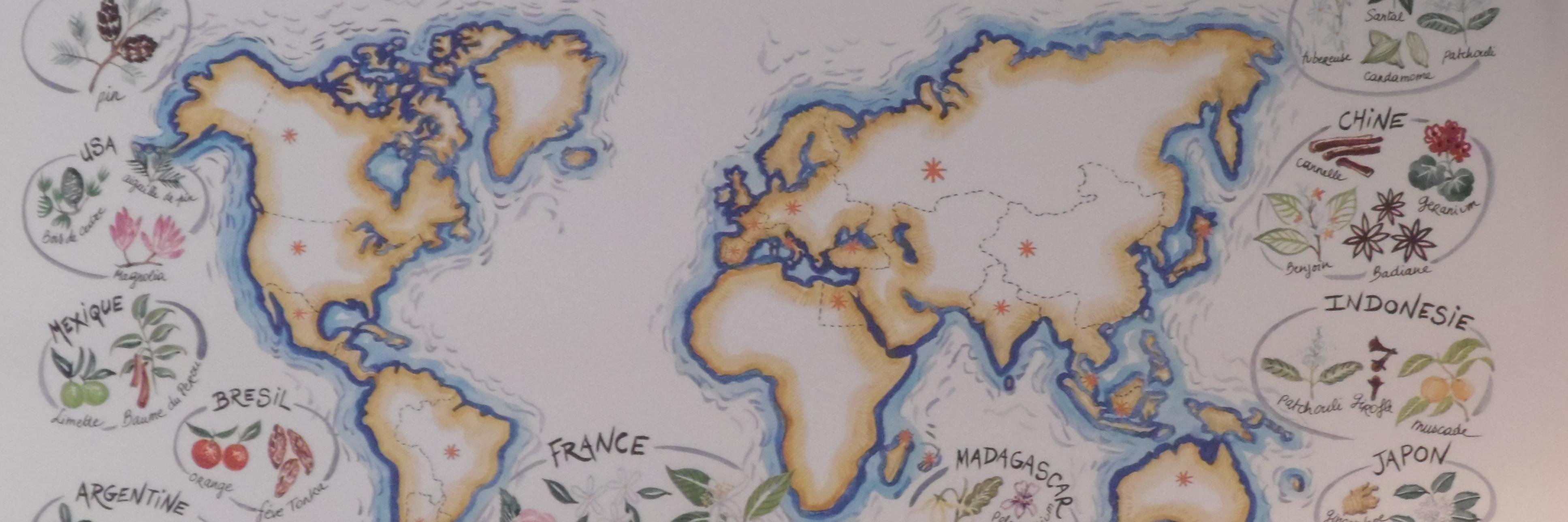 Amanda Scurlock banner