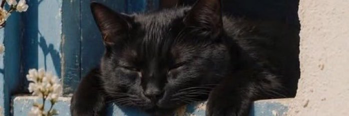 0fivi's profile banner image