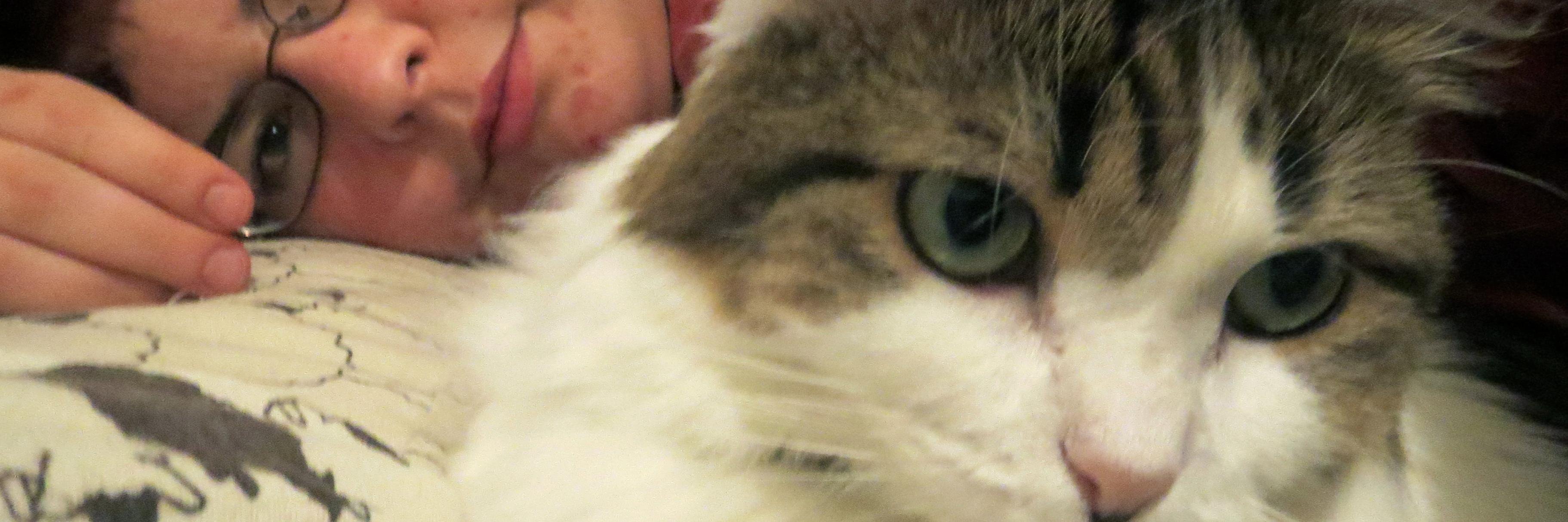 From Here to Bitternity banner