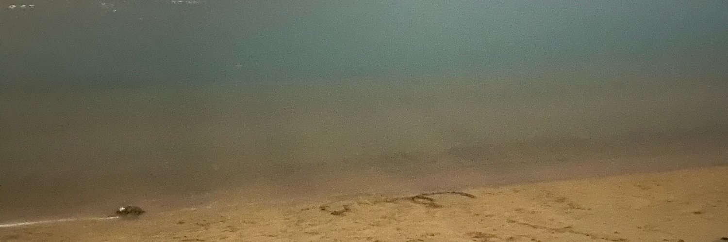 Horiyah89's profile banner image