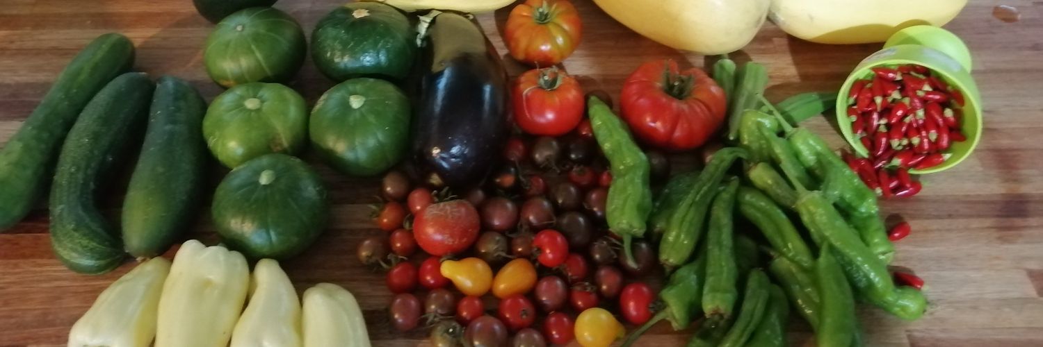 🇺🇸Reque Newsome🇺🇾 banner