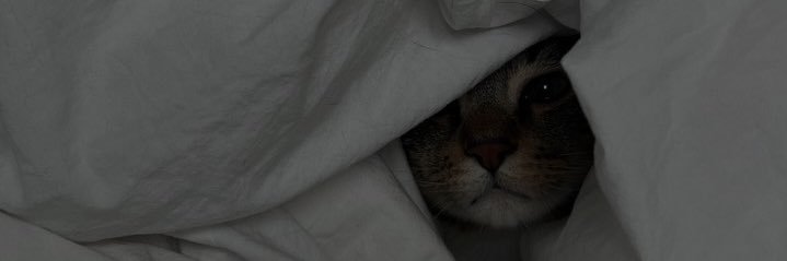 Myschmidt1's profile banner image
