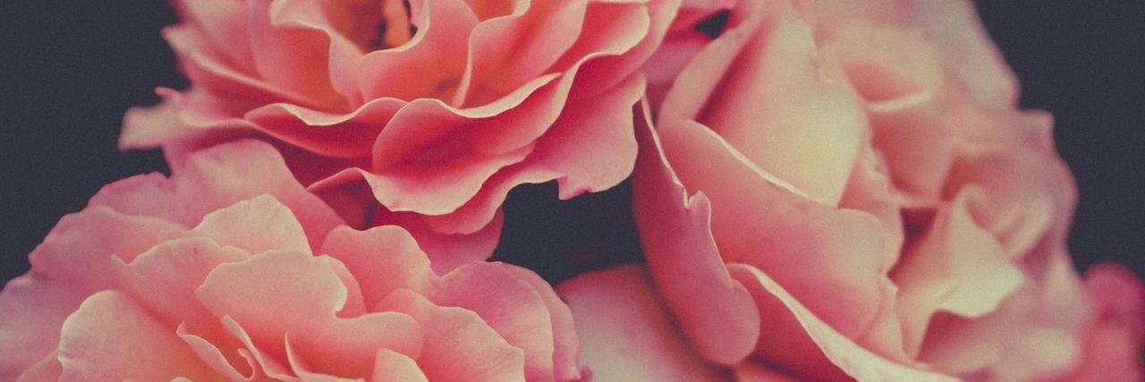 _KarenMT's profile banner image