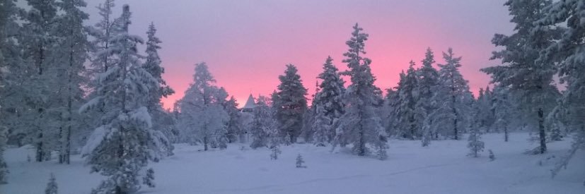 lynettexupmi's profile banner image