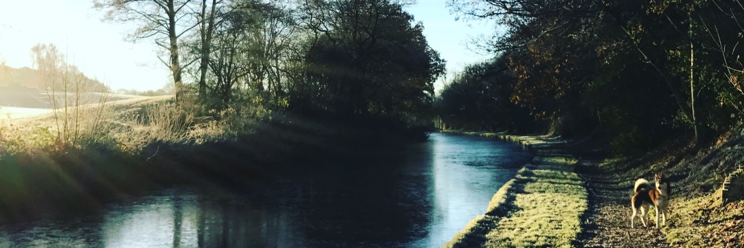 _Dan_Brooks's profile banner image