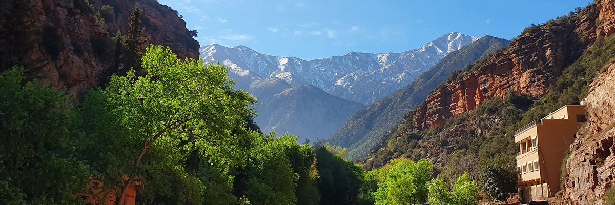 AlexShellum's profile banner image