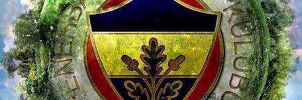 F_B_aris's profile banner image